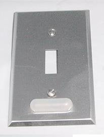 CR101X7 SS Flush Plate W/PL