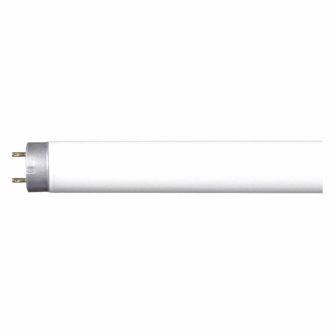 GE Garage & Basement Fluorescent Tube Light Bulbs, T8 Bulb, 28-Watt, 2675 Lumen, 48-Inch Length, G13 Base, Cool White, 36-Pack, Tubular Light Bulbs
