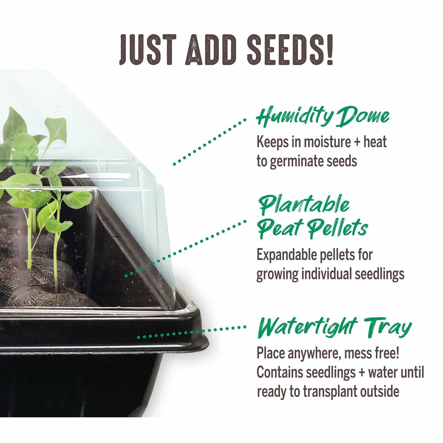 Jiffy Windowsill Seed Starting Greenhouse with 12 Biodegradable 36mm Peat Pellets
