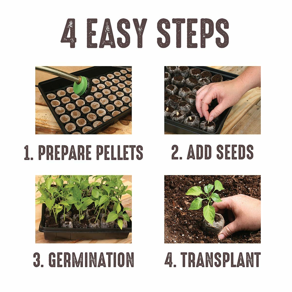 Jiffy Windowsill Seed Starting Greenhouse with 12 Biodegradable 36mm Peat Pellets