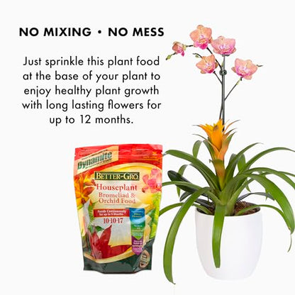 Better Gro Orchids, Bromeliads & Houseplant Slow Release Plant Food/Fertilizer [FERT25]