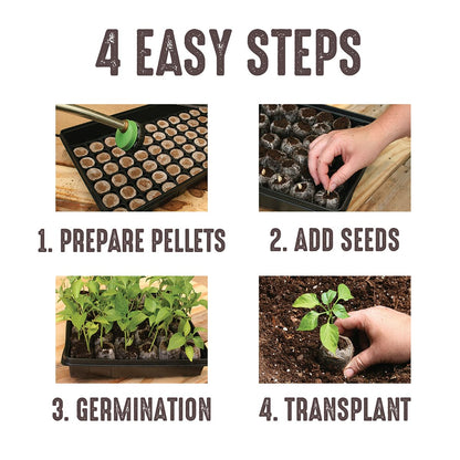 Jiffy Seed Starting Kit, 12 Cell 36mm Peat Pellets
