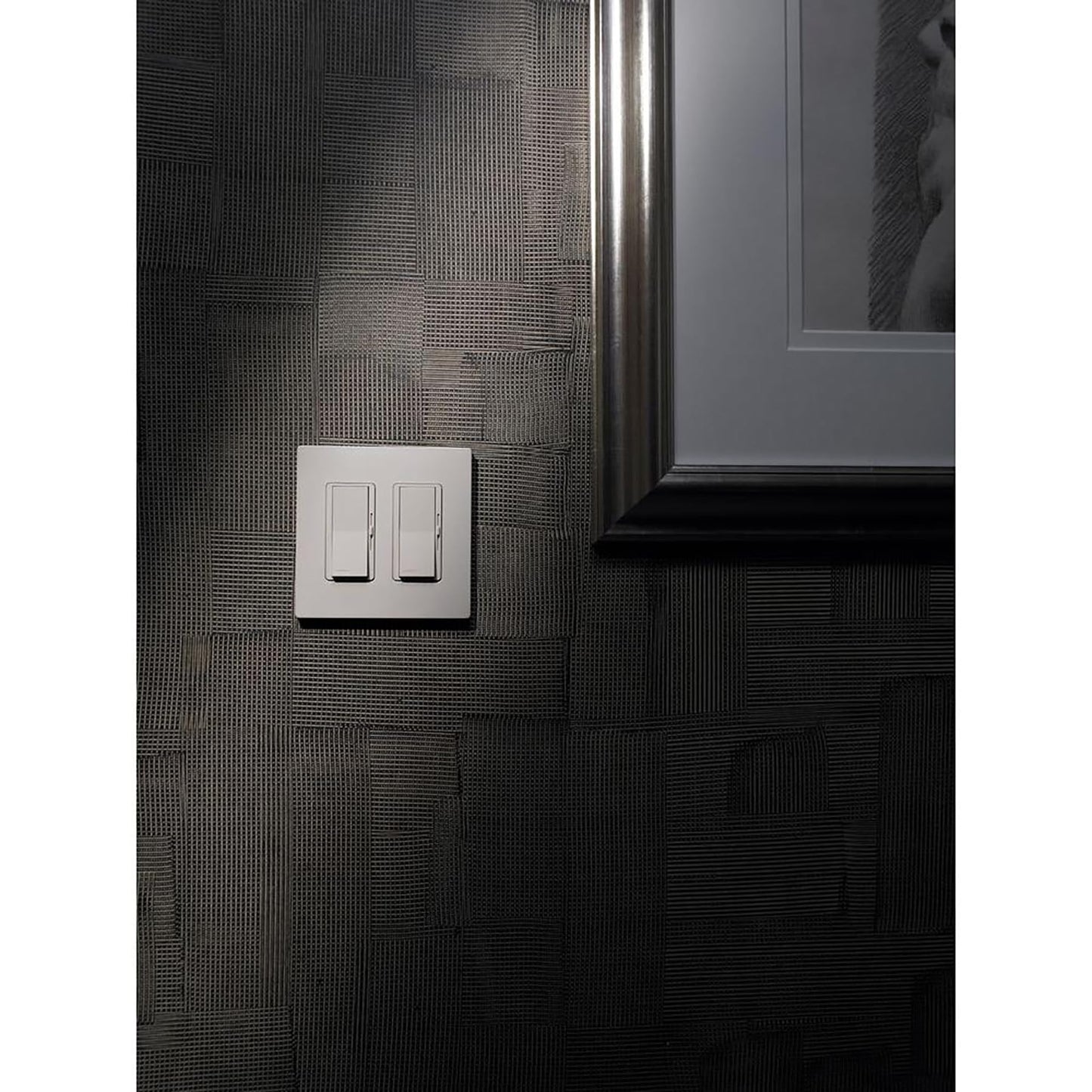 Lutron Claro 2 Gang Decorator/Rocker Wallplate, Gloss, White (1-Pack) | CW-2-WH