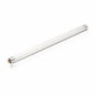 Philips Linear Fluorescent T5 Light Bulb: 12-Inch, 4100-Kelvin, 8-Watt, Miniature Bipin Base, Cool White