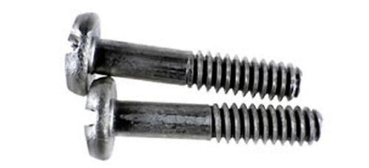 Hayward WGX1030Z2AM Sump Screw with Inserts Replacement for Hayward Drain Cover, Set of 2