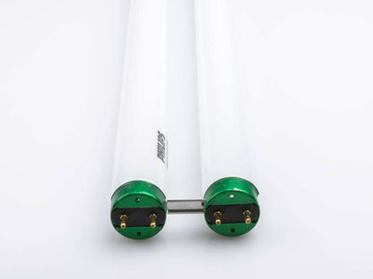 Philips 29W 1.6in Gap T8 Cool White UBent Fluorescent Tube