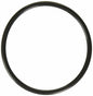 Hayward CLX110K Special Composition Viton O-Ring Cover Replacement for Hayward Chlorine Chemical Feeder