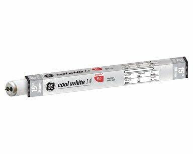 GE Lighting 14 watts T12 15 in. L Fluorescent Bulb Cool White Linear 4100 K 1 pk