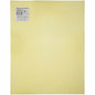 Darice Plastic Canvas, 10 x 13 Inch, 10.5" x 13.5" (1 Piece), Yellow