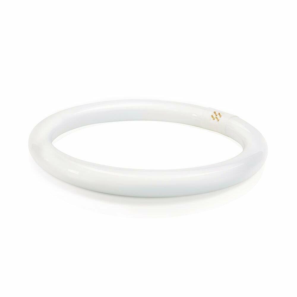 Philips Circline Fluorescent T9 Light Bulb: 12-Inch, 4100-Kelvin, 32-Watt, Bi-Pin Base, Cool White