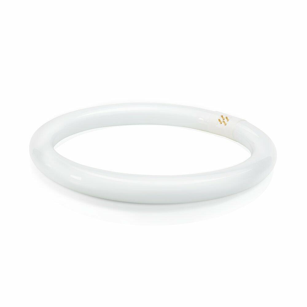 Philips Circline Fluorescent T9 Light Bulb: 12-Inch, 4100-Kelvin, 32-Watt, Bi-Pin Base, Cool White