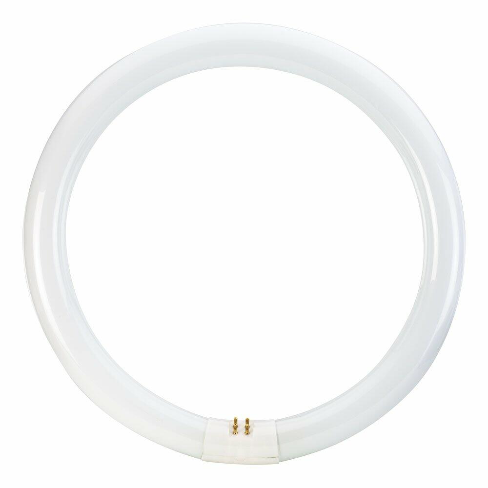 Philips Circline Fluorescent T9 Light Bulb: 12-Inch, 4100-Kelvin, 32-Watt, Bi-Pin Base, Cool White