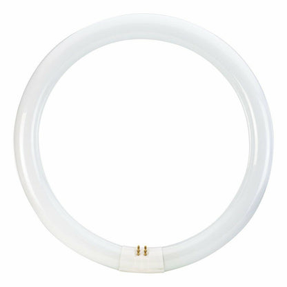 Philips Circline Fluorescent T9 Light Bulb: 12-Inch, 4100-Kelvin, 32-Watt, Bi-Pin Base, Cool White