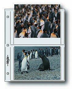 Print File Premium Series-S Archival Storage Page for Prints - 25 Pack 060-5640