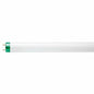Philips 280982 - F25T8/TL835/PLUS/ALTO 3 Foot Plus Straight T8 Fluorescent Tube Light Bulb
