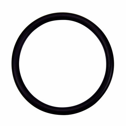 Pentair Pac-Fab Hi-Flow Valve Adapter O-Ring 274494