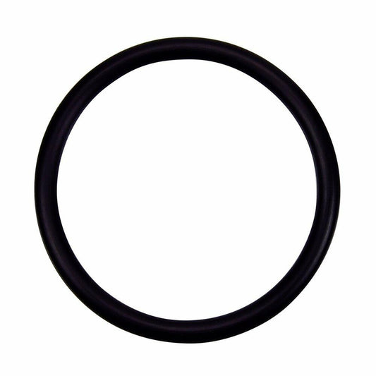 Pentair Pac-Fab Hi-Flow Valve Adapter O-Ring 274494