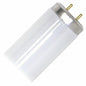 G E Lighting 6 Packs GE 14W 15" CW Fluo Bulb