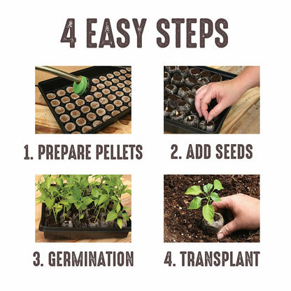Jiffy Windowsill Seed Starting Greenhouse with 12 Biodegradable 36mm Peat Pellets