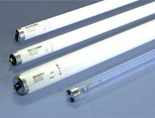 Sylvania 21486 - F14T8/CW Straight T8 Fluorescent Tube Light Bulb