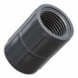 5 Pack - Orbit 1/2 Inch Female Thread PVC Coupling for Sprinkler Pipe