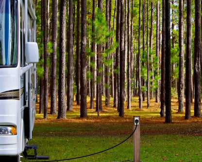 Legrand Pass & Seymour 3830CC6 30 Amp 125V 2 Pole 3 Wire Travel Trailer Power Outlet Flush Receptacle for RV, NEMA TT30, Black (1 Count)