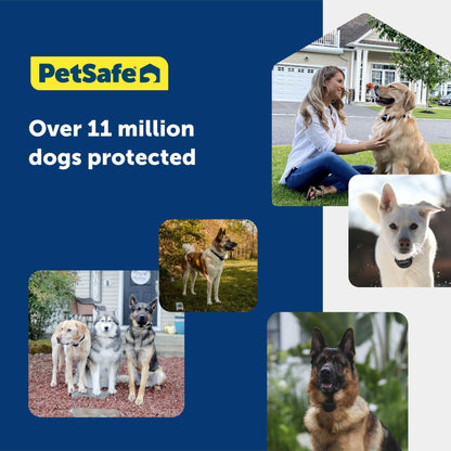 PetSafe Basic In-Ground Pet Fence Underground Dog Fence, Pet Electric Containment, Waterproof Collar for Dogs, Adjustable Collar Fits Neck Sizes 6-26 in, Wired Dog Containment System (Multi-Color)