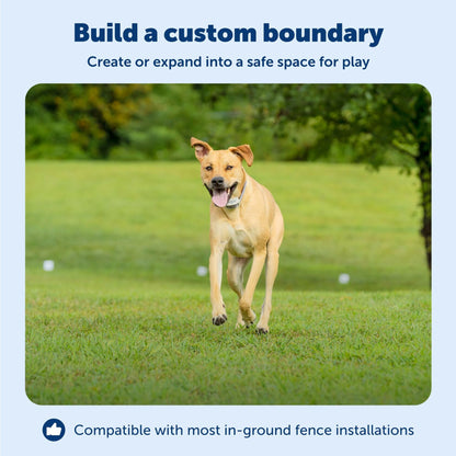 PetSafe Underground Dog Fence Wire (500 Foot) Create Your PetSafe Boundary, Electric Dog Fence Wire (Yellow) - from The Parent Company of IFB