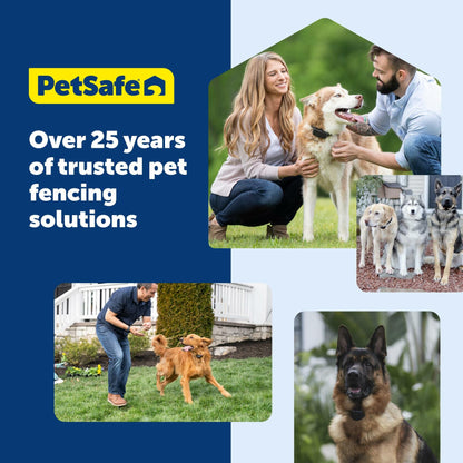 PetSafe Boundary Flags (Bundle of 50), For Use with PetSafe's Dog and Cat In-Ground Fences and Wireless Fences - From the Parent Company of INVISIBLE FENCE Brand