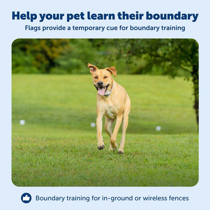 PetSafe Boundary Flags (Bundle of 50), For Use with PetSafe's Dog and Cat In-Ground Fences and Wireless Fences - From the Parent Company of INVISIBLE FENCE Brand