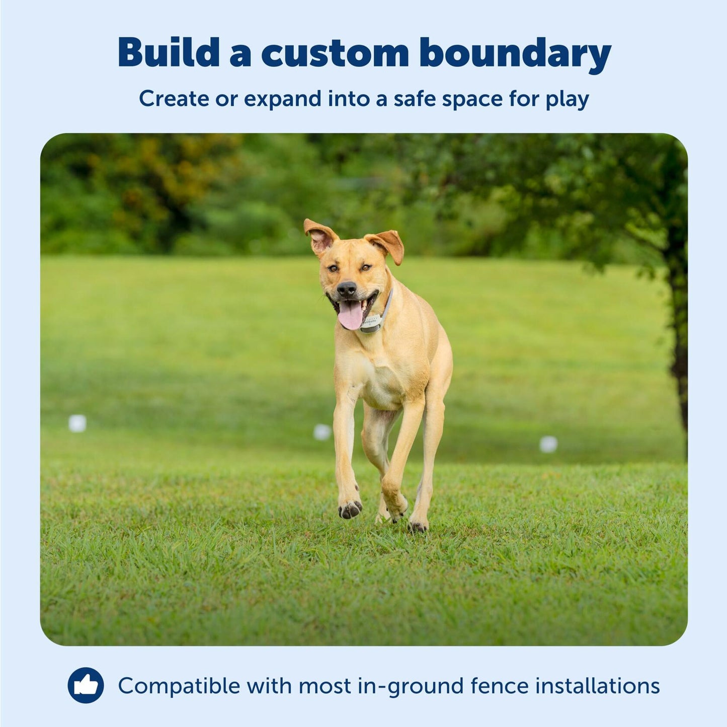 PetSafe Underground Dog Fence Wire (500 Foot) Create Your PetSafe Boundary, Electric Dog Fence Wire (Yellow) - from The Parent Company of IFB