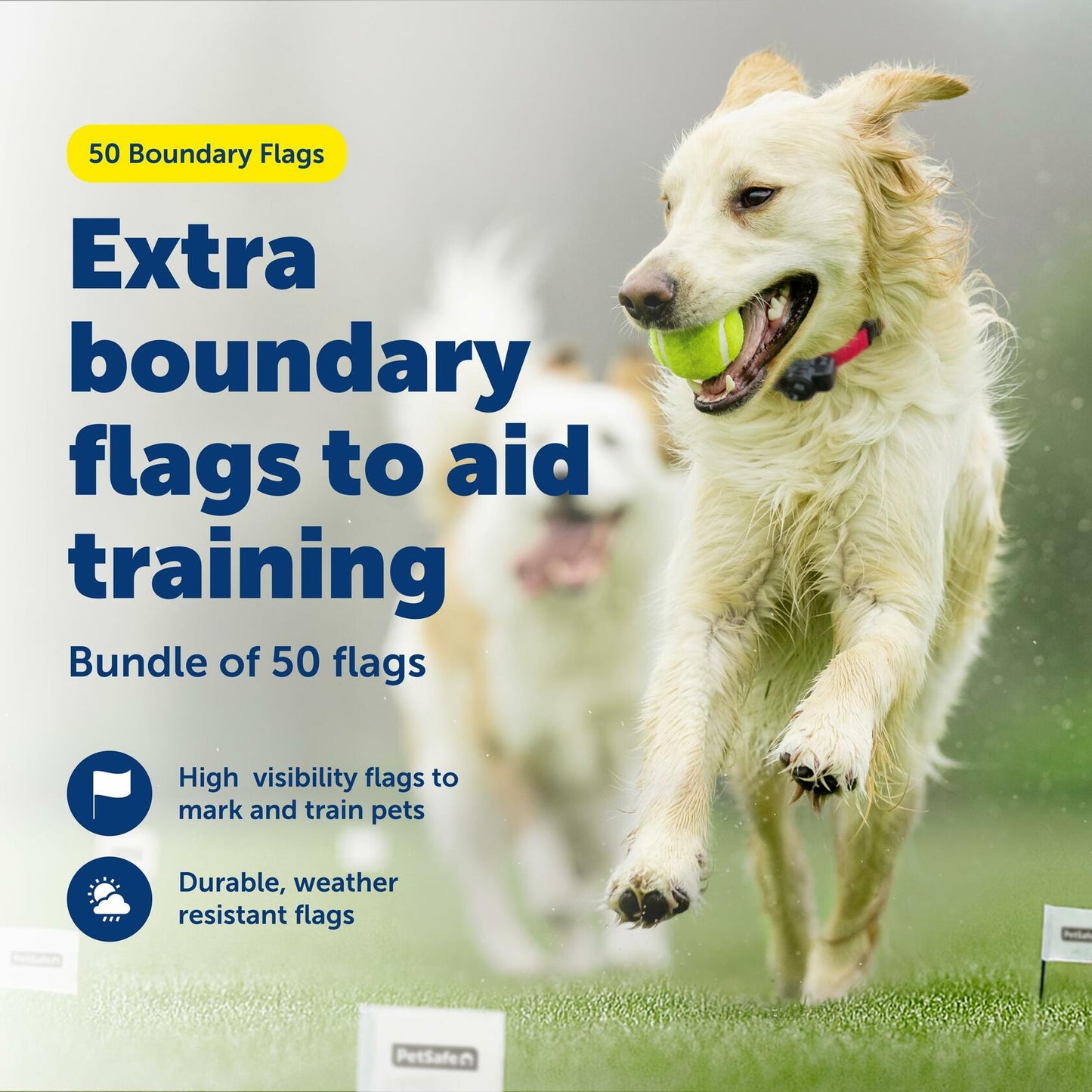 PetSafe Boundary Flags (Bundle of 50), For Use with PetSafe's Dog and Cat In-Ground Fences and Wireless Fences - From the Parent Company of INVISIBLE FENCE Brand