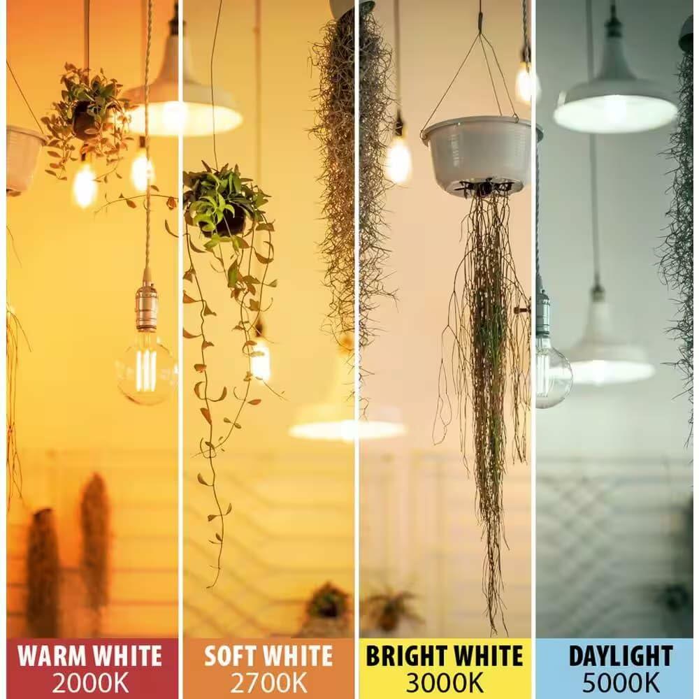 Feit Electric 60-Watt Equivalent ST19 Dimmable Straight Filament Clear Glass E26 Vintage Edison LED Light Bulb, Daylight 5000K - 4 Pack