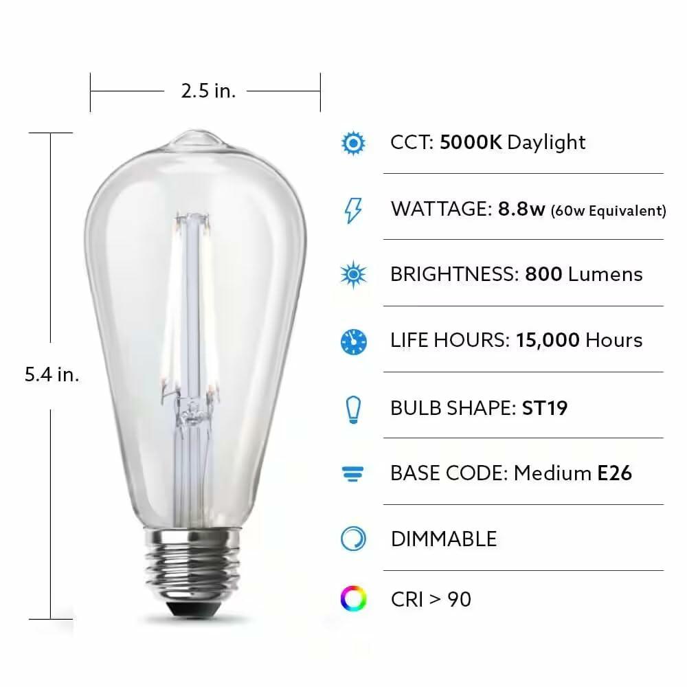Feit Electric 60-Watt Equivalent ST19 Dimmable Straight Filament Clear Glass E26 Vintage Edison LED Light Bulb, Daylight 5000K - 4 Pack