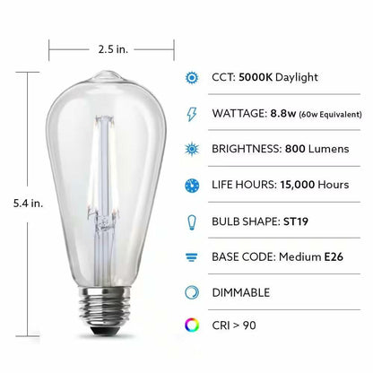 Feit Electric 60-Watt Equivalent ST19 Dimmable Straight Filament Clear Glass E26 Vintage Edison LED Light Bulb, Daylight 5000K - 4 Pack