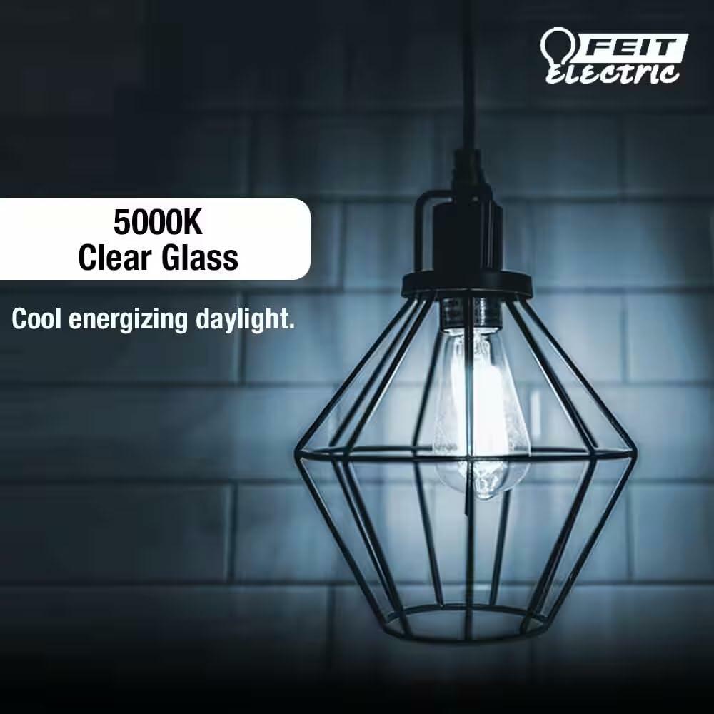 Feit Electric 60-Watt Equivalent ST19 Dimmable Straight Filament Clear Glass E26 Vintage Edison LED Light Bulb, Daylight 5000K - 4 Pack