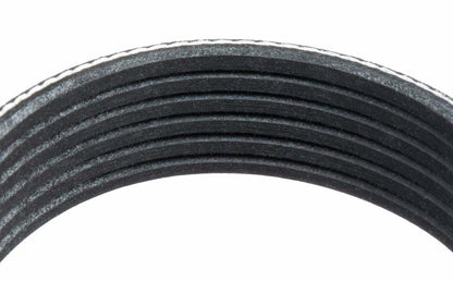 Goodyear Belts 1060772 Serpentine Belt, 6-Rib, 77.2" Length for 1982-2020 for 2009-2010 Blue Bird & 2013-2015 Cadillac & 2014-2015 Chevrolet & 2
